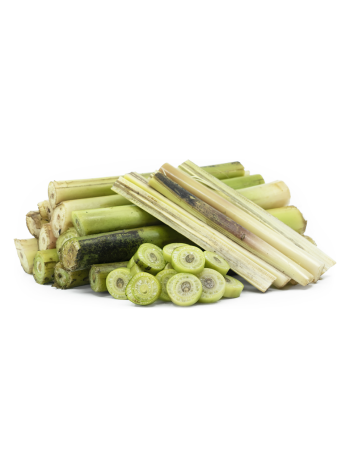 Fresh Banana Stem (Plantain Flower Stalk) – ~1 pc (900 g – 1.2 kg)