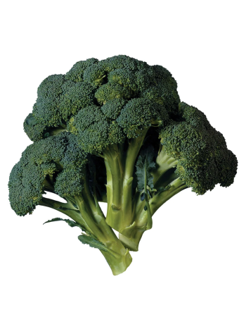 Fresh Broccoli – 500 g