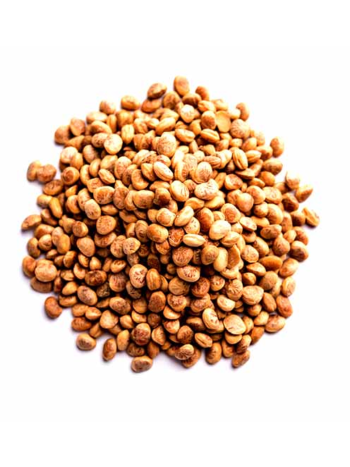 Chironji Seeds (Charoli / Buchanania lanzan) – 1 kg