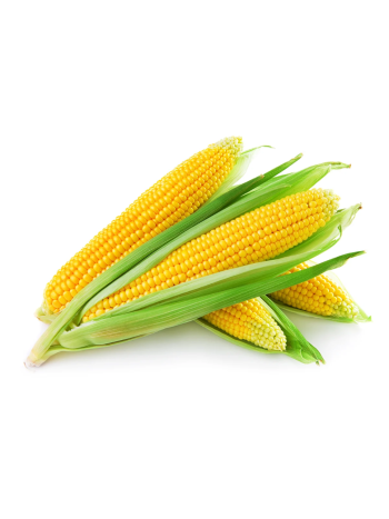 Fresh Desi Corn / Bhutta – 1 Piece