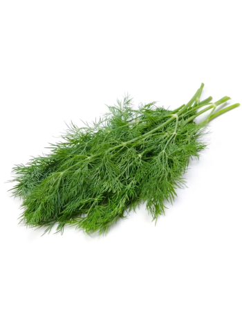 Fresh Dill Leaves (Suva Bhaji) – 100g