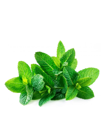 Fresh Mint Leaves – 100g