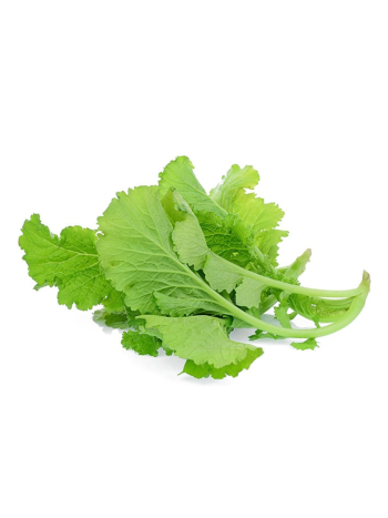 Fresh Mustard Greens – 500g